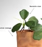 Leather planter (free artificial plant) - Image 2