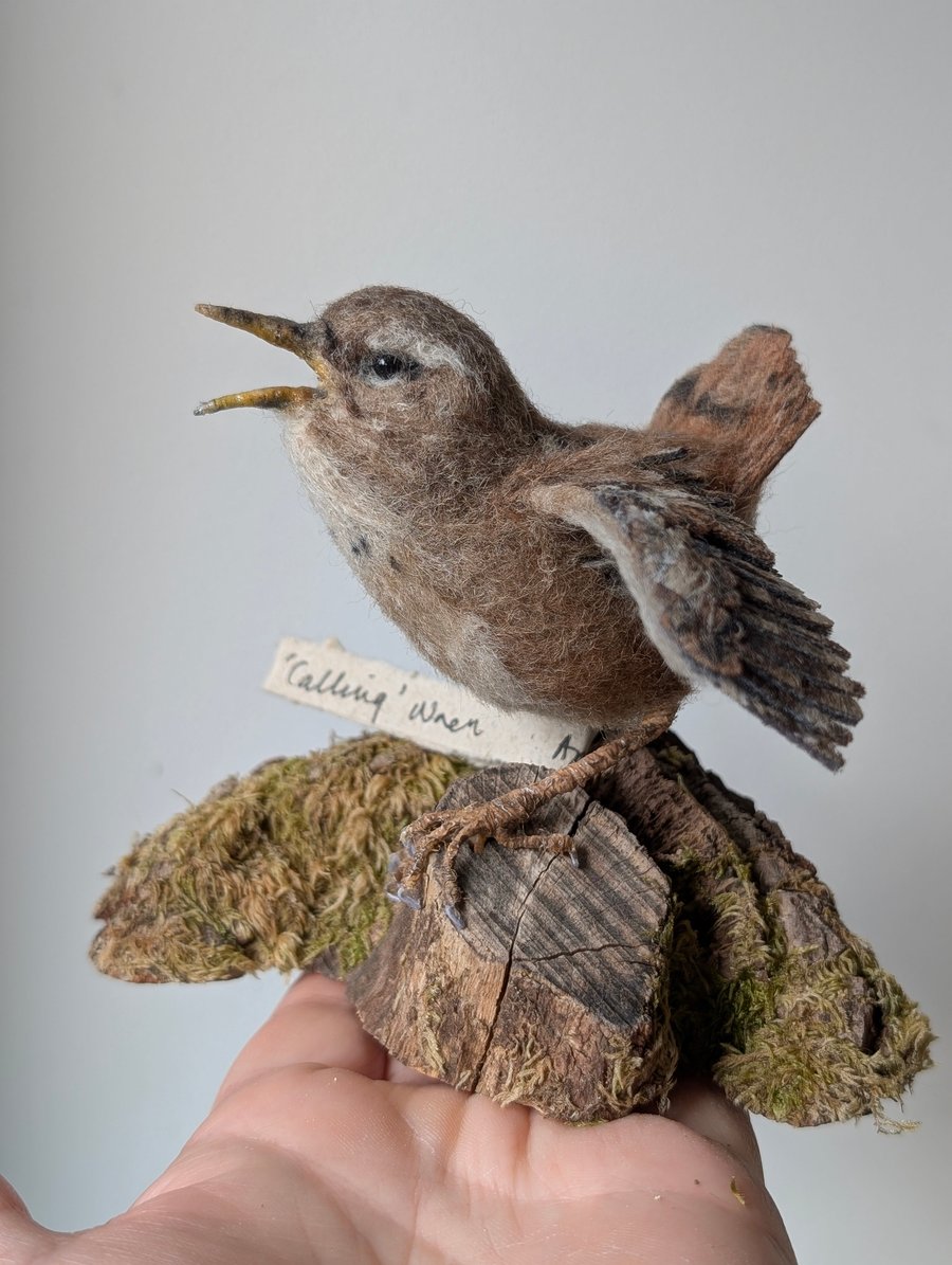 Realistic needle felt singing Wren 