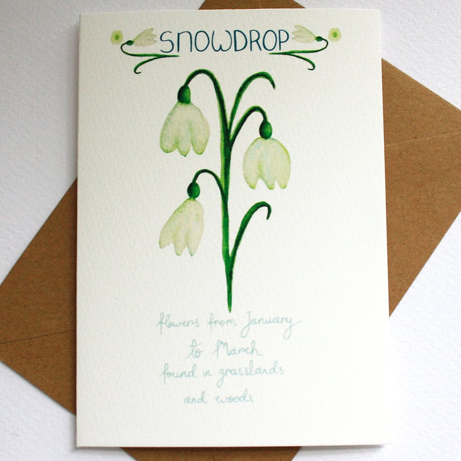 Snowdrop- British wild flower card