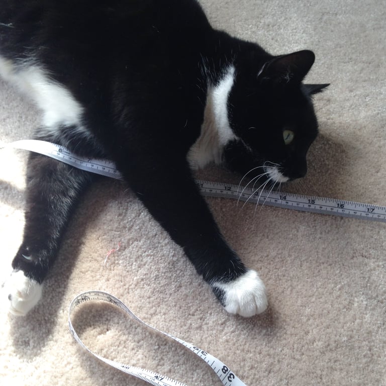 Jayne Elizabeth Designs