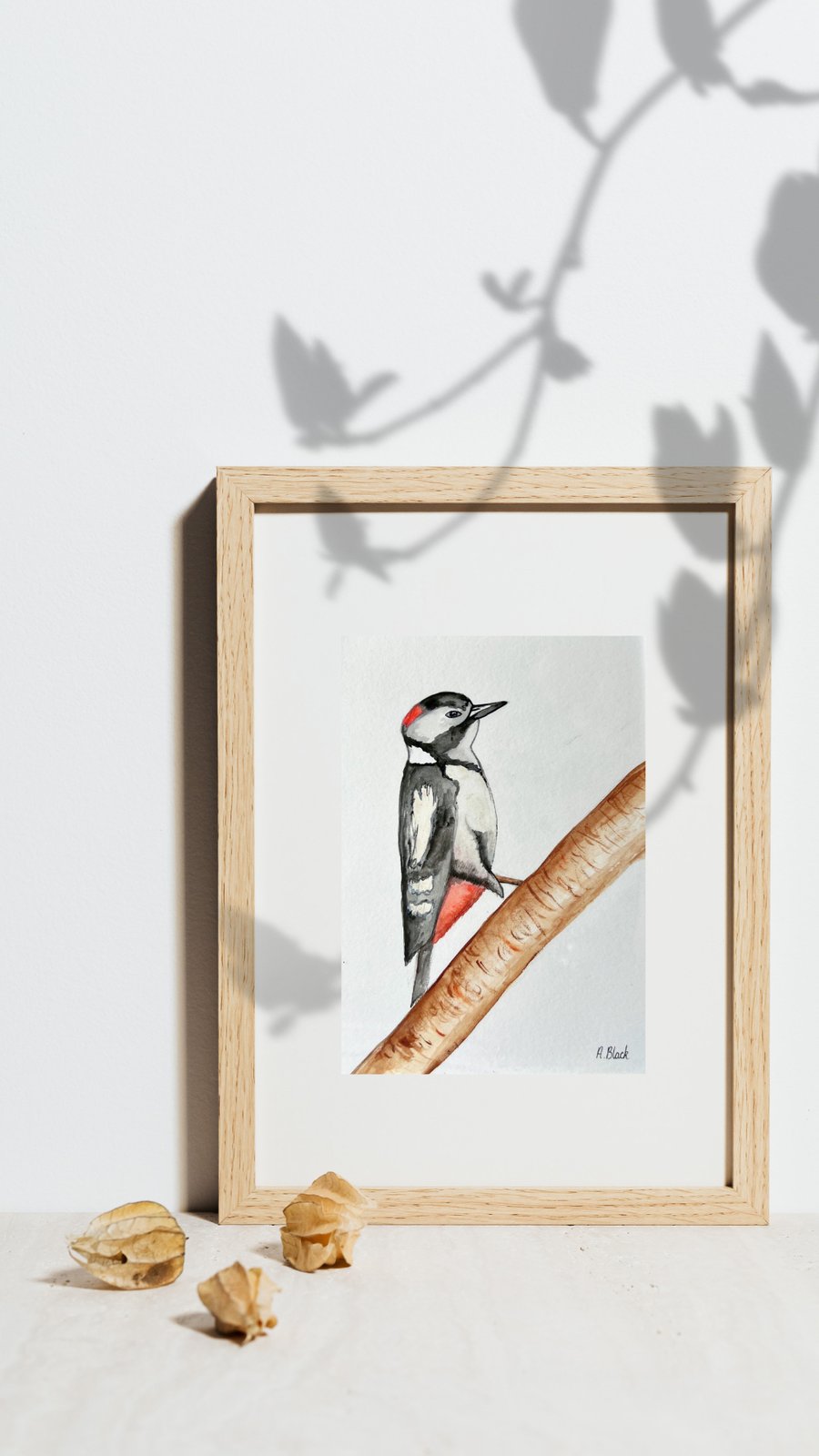 Woodpecker using watercolour 