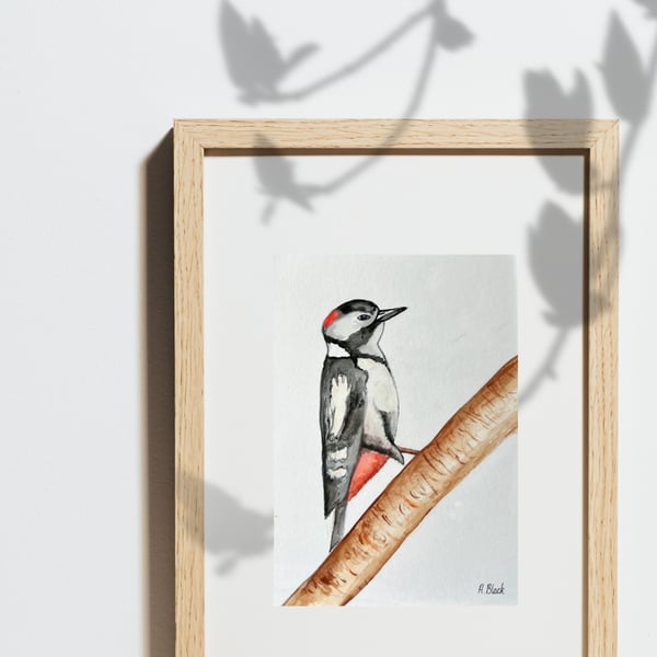 Woodpecker using watercolour 