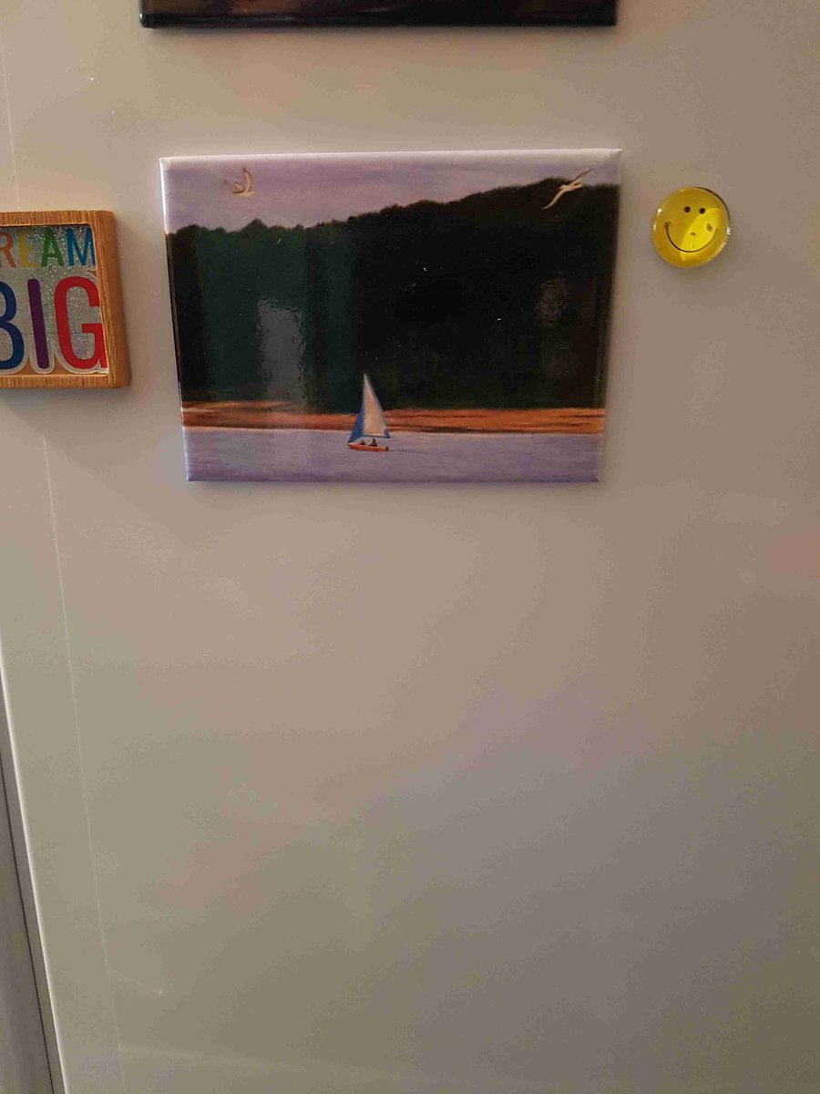 Findhorn bay, fridge magnet