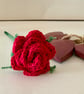 Single red rose in an antique bottle - Image 6
