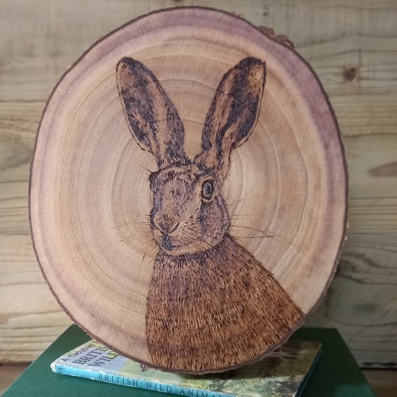 Pyrography Hare wood slice hanging decoration