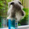 Lurcher Hound Bottle Topper Felted