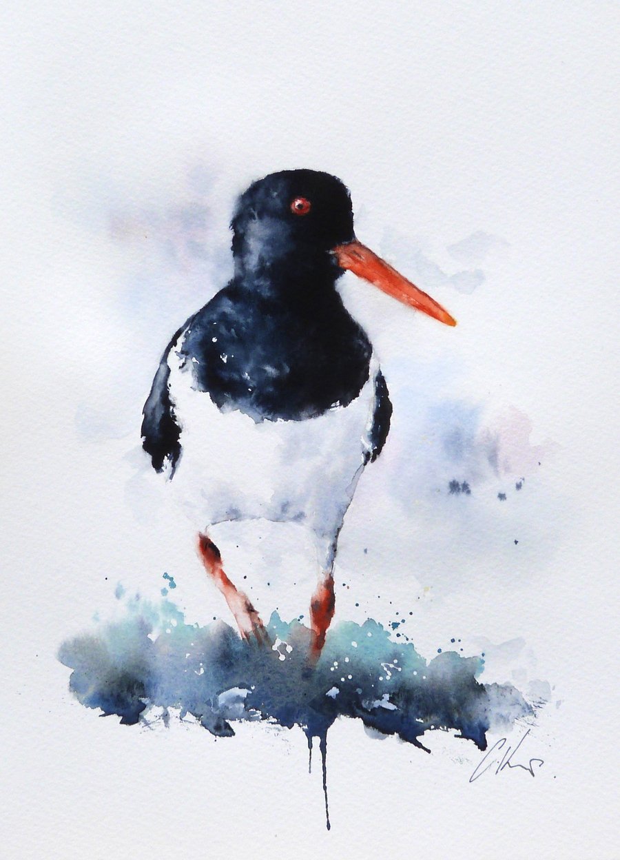 Oystercatcher, Original Watercolour Painting.
