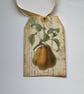GIFT TAGS  ( set of 3 ) .Vintage -style  'Botanical Fruit . - Image 3