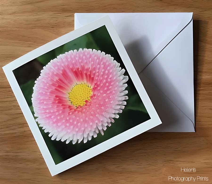 Pretty Pink Flower Greeting Card, Flower Photography, Blank Inside, Square Card