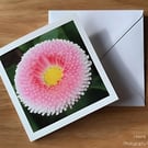 Pretty Pink Flower Greeting Card, Flower Photography, Blank Inside, Square Card