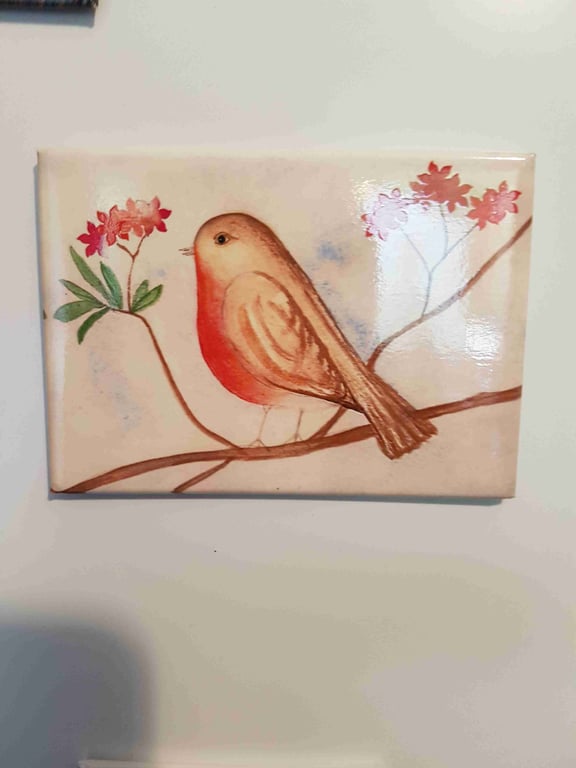 ROBIN FRIDGE MAGNET 