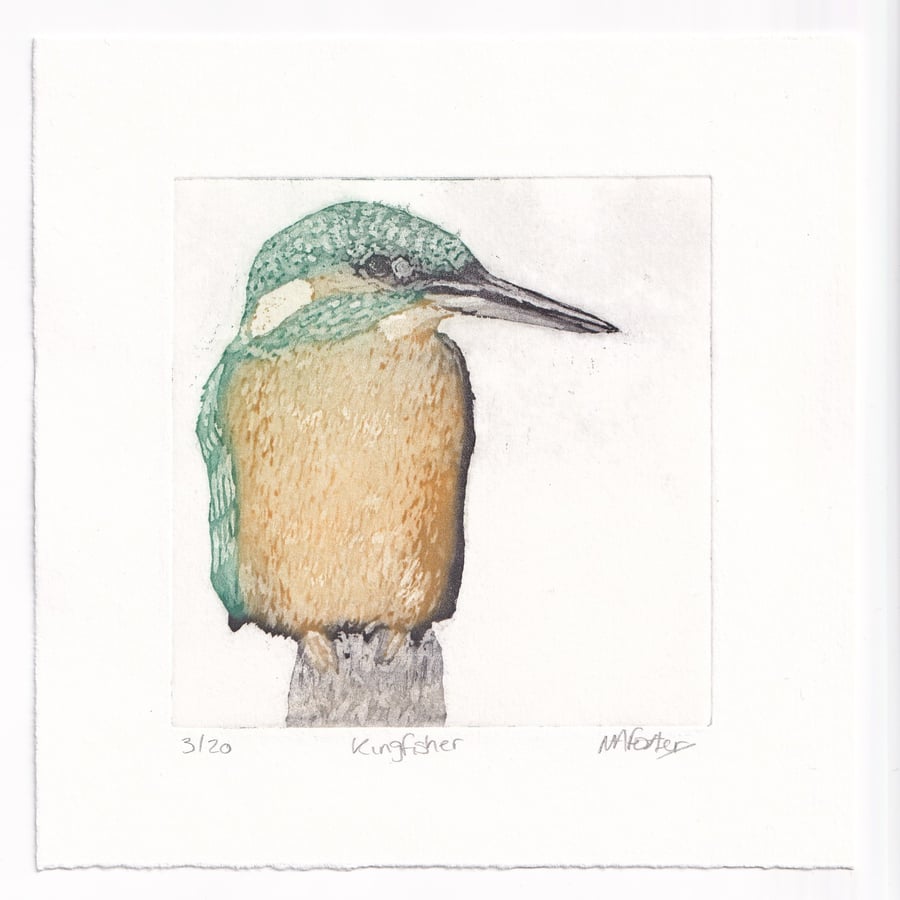 Kingfisher - Original Etching 