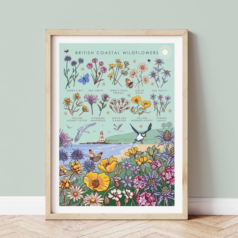 Nature Guide to British Coastal Wildflowers Wall Art Print A4 Unframed 