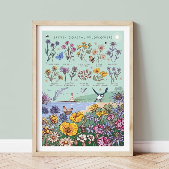 Nature Guide to British Coastal Wildflowers Wall Art Print A4 Unframed 