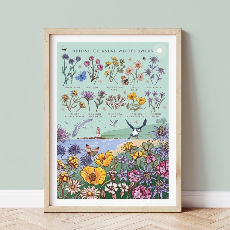 Nature Guide to British Coastal Wildflowers Wall Art Print A4 Unframed 