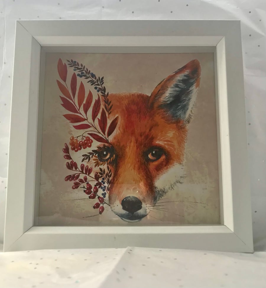 Fox shadow box frame