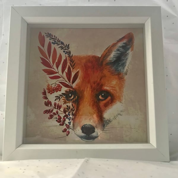 Fox shadow box frame