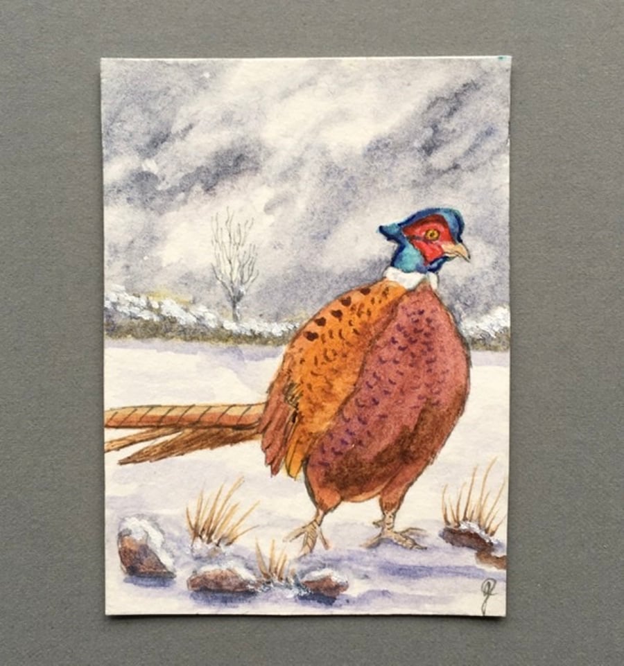  Winter Pheasant aceo