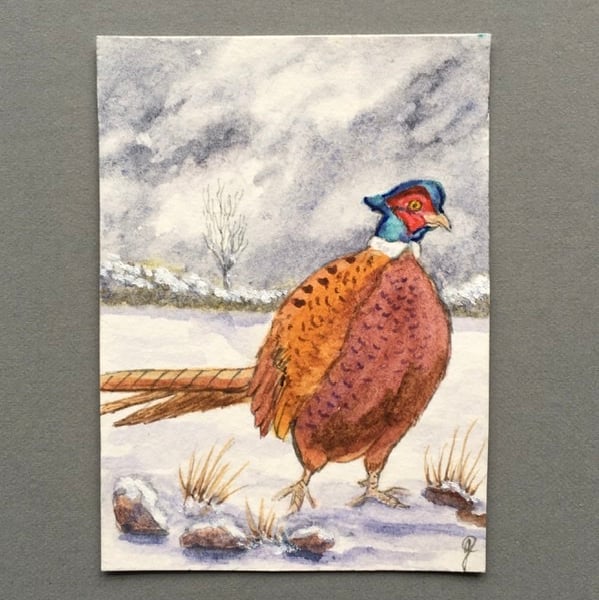  Winter Pheasant aceo