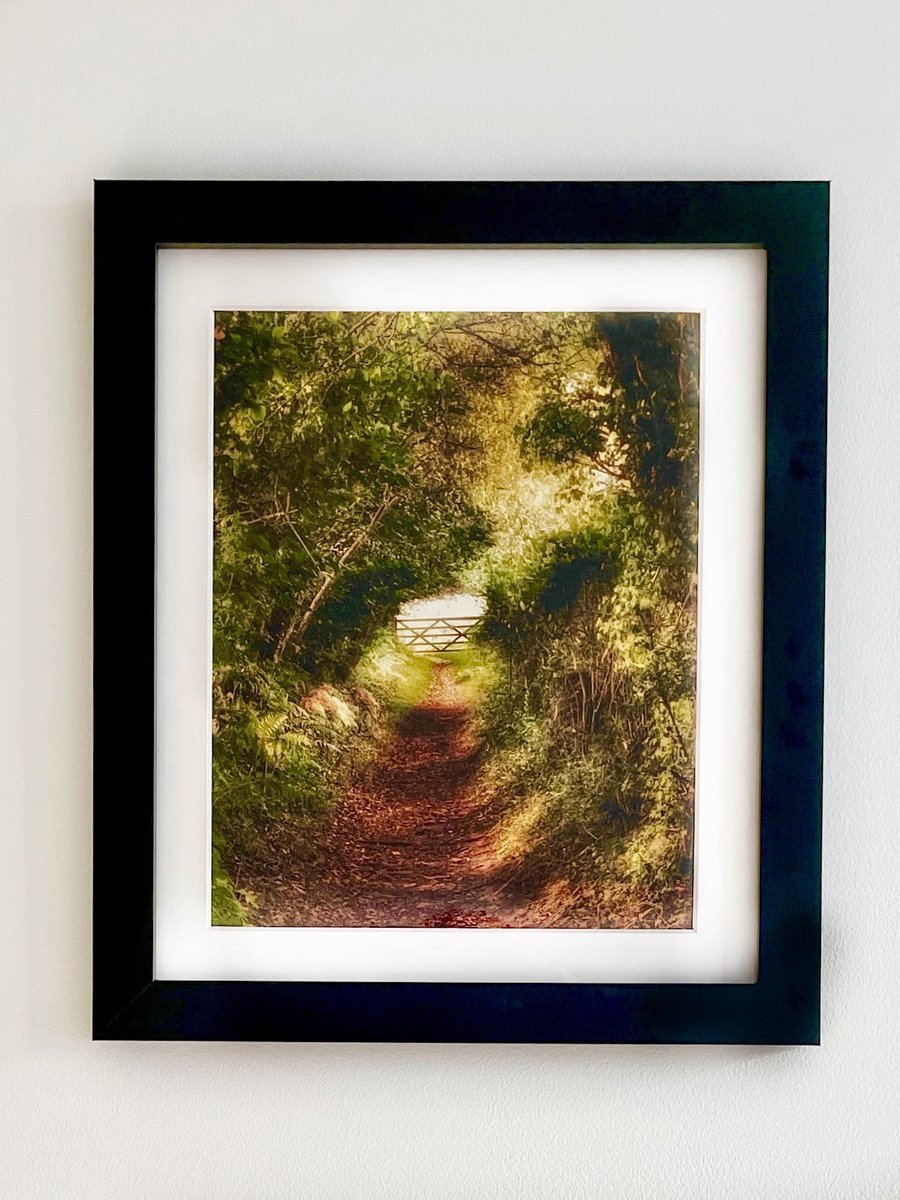 Framed Photo Woodland Path, Autumn Trees, Wales