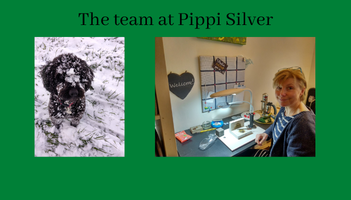 Pippi Silver