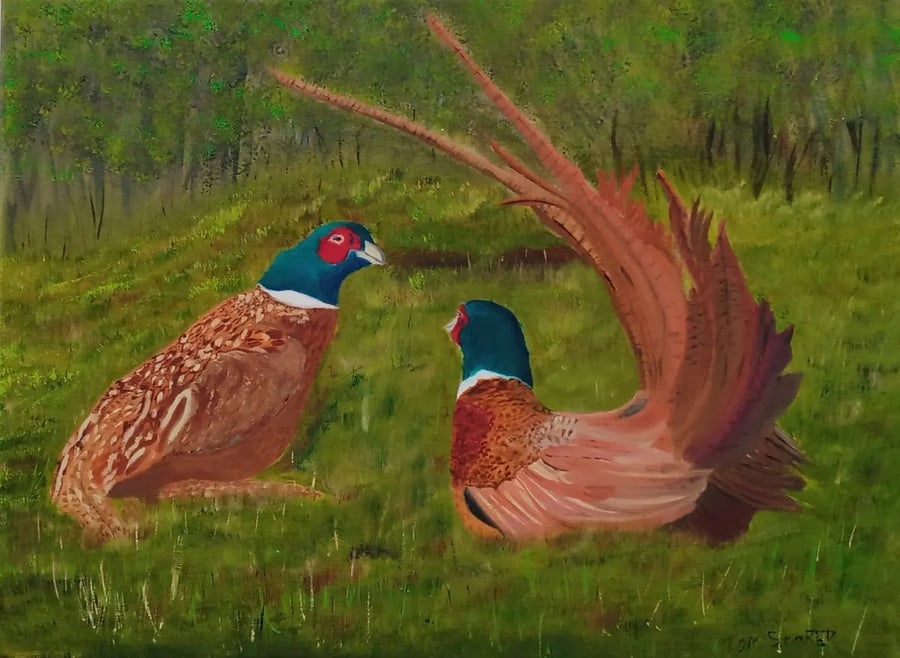 Pheasants in readiness to do battle, Original Oil Painting on Canvas