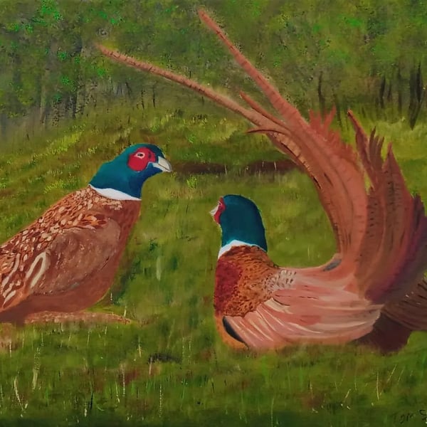 Pheasants in readiness to do battle, Original Oil Painting on Canvas