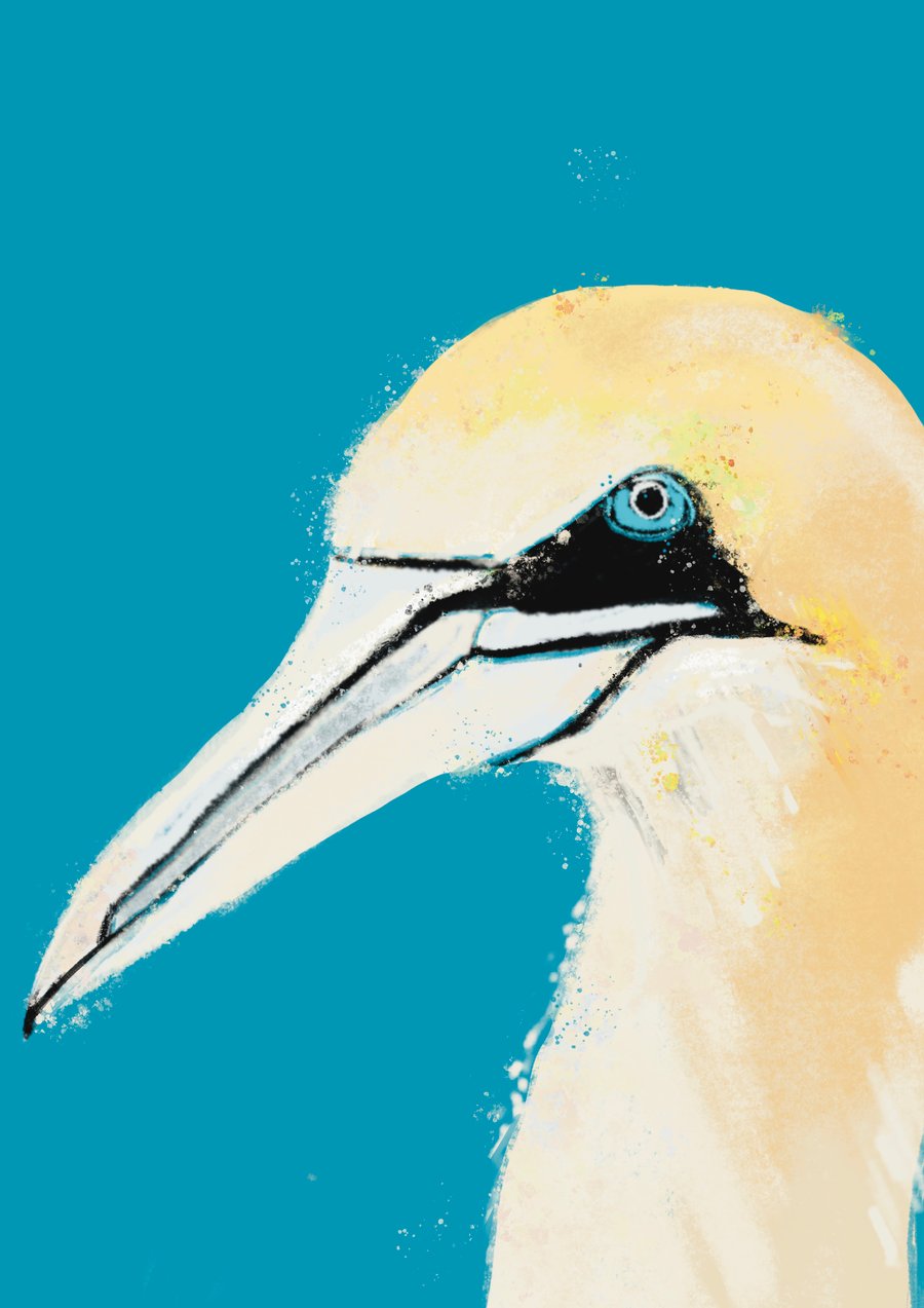 Seaside Coastal Art Bird Print 