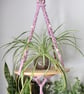 Macrame plant pot holder, plant hanger, floating shelf - Image 6