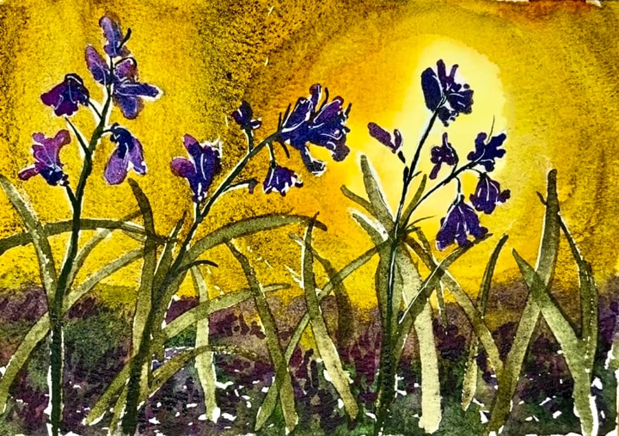 Bluebells at Dusk 