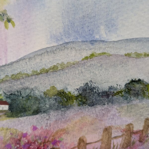 Clare Connell original watercolour 