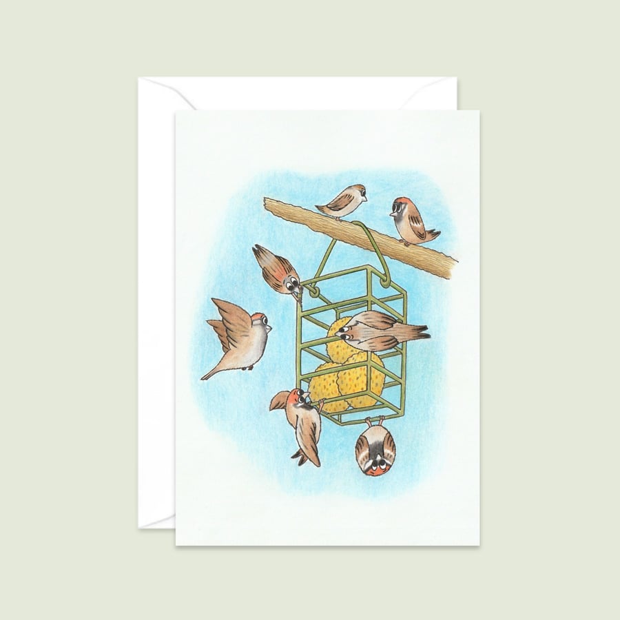 Garden Sparrows Greeting Card: Original Pencil Illustration (208)
