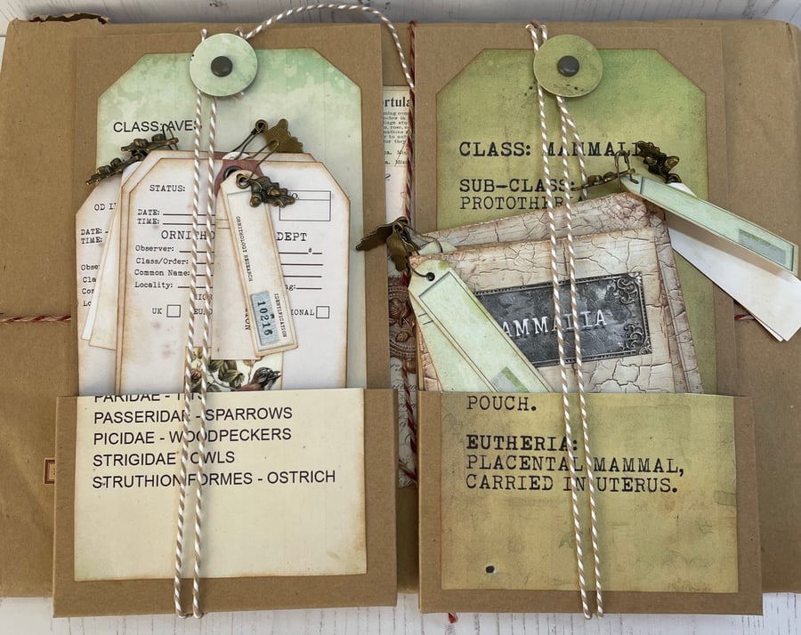 Ephemera - Birds and Animal tags and passports by  Carolee Crafts PB8 - 0013