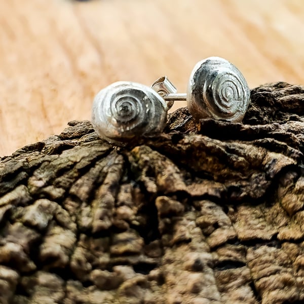 Fine Silver Snail Shell Stud Earrings
