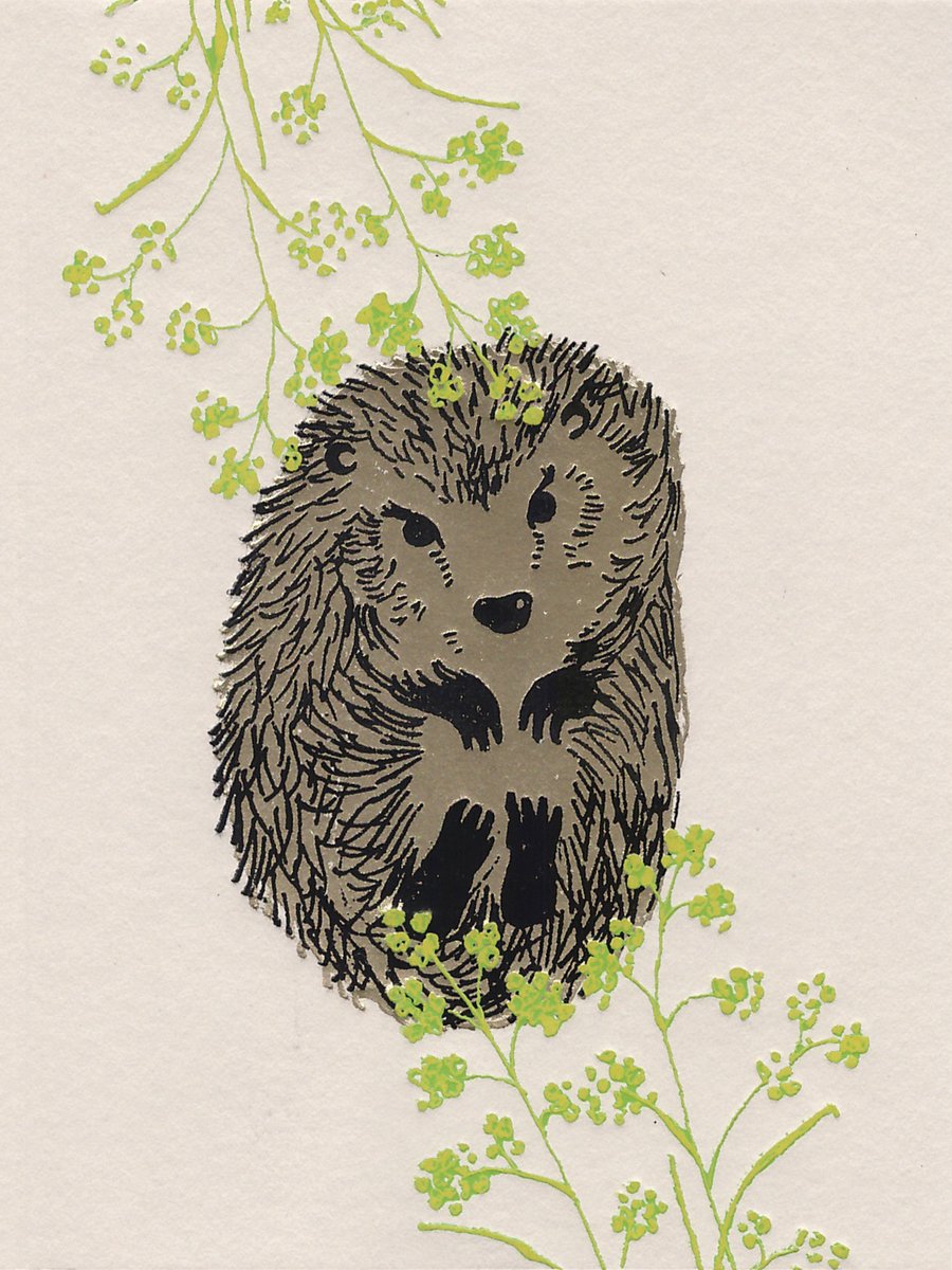 Hedgehog Greetings card