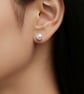 8mm Button Freshwater Pearl Sterling Silver Stud Earrings - Image 1