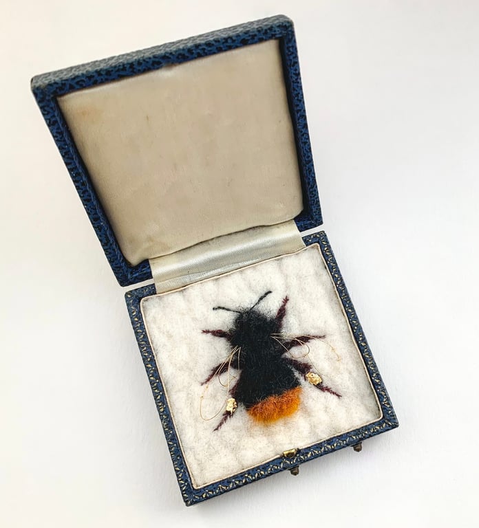 Bee 217 Bombus cullumanus - Queen Culuum’s Bumblebee