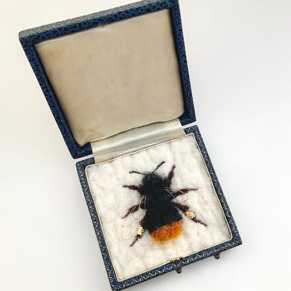 Bee 217 Bombus cullumanus - Queen Culuum’s Bumblebee