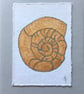 Gold Ammonite card  - Image 3