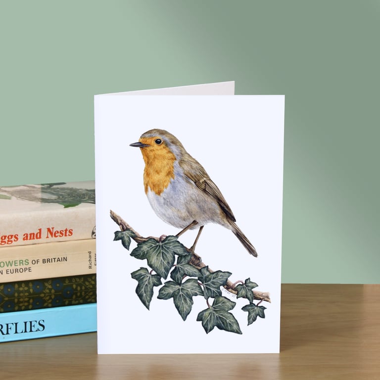 Robin Greetings Card - 5x7" blank, for birthday, anniversary or Christmas