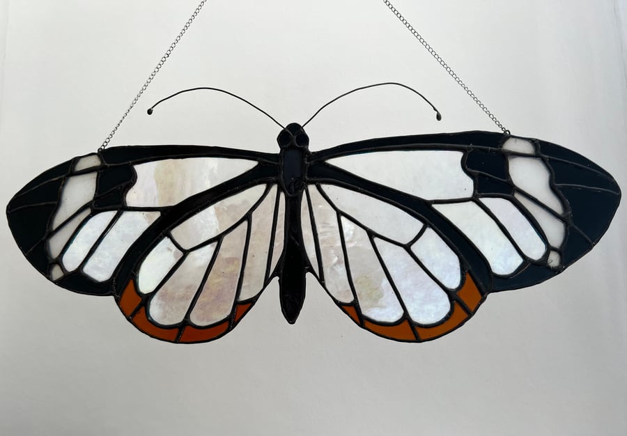 Stained glass butterfly- iridescent transparent glasswing