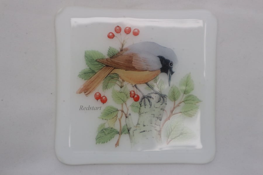  Handmade fused glass coaster - Redstart