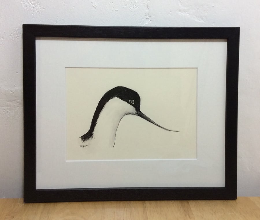 Avocet - original pen and ink - framed illustration of bird