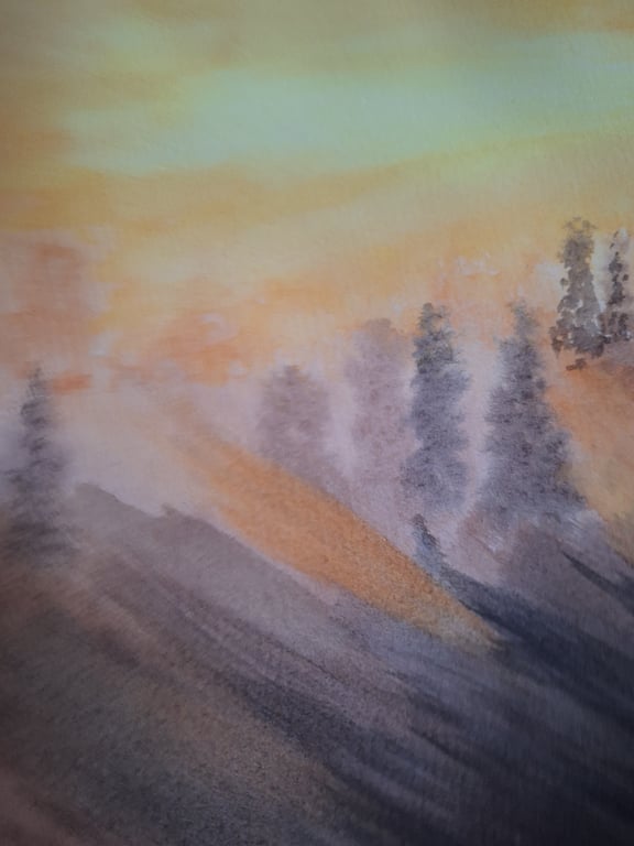 Winter woodland mist