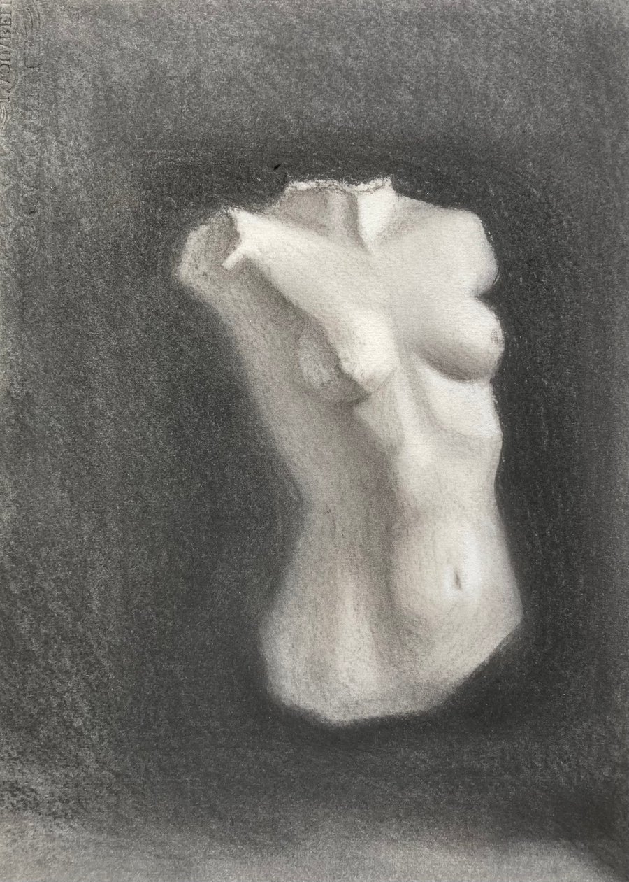 Female torso (Original charcoal drawing) 