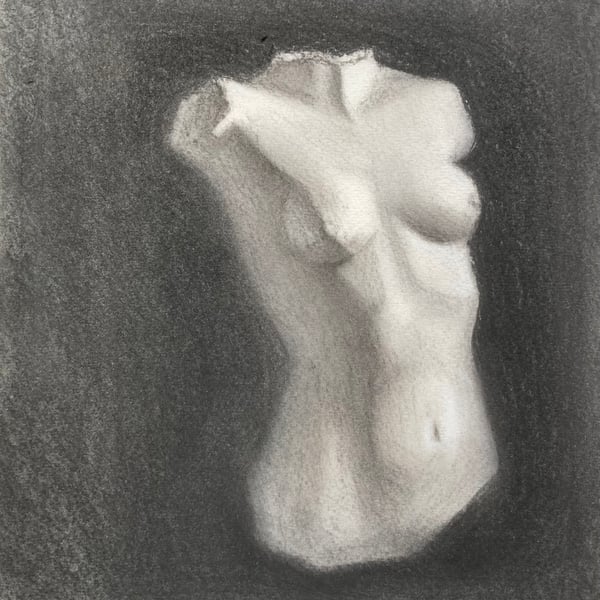 Female torso (Original charcoal drawing) 