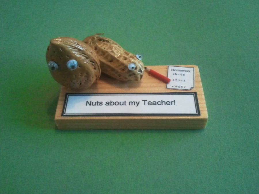 Nutty Gift - Teacher