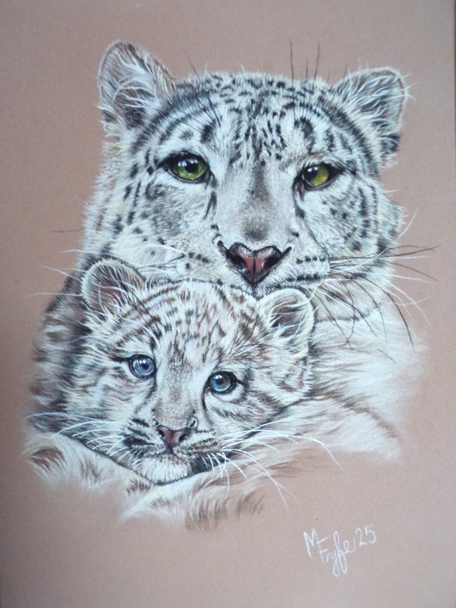 Giclee print of leopard and cub