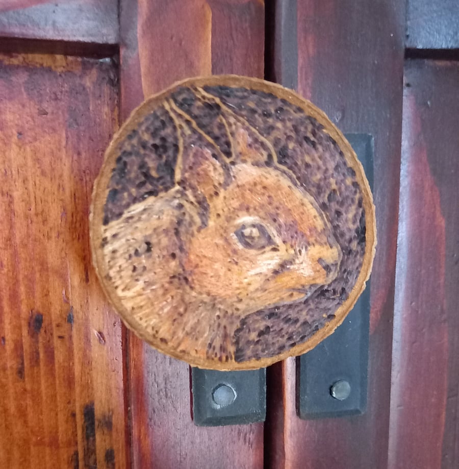 Red Squirrel pyrography wood slice magnet