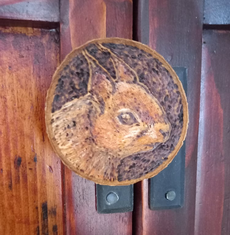 Red Squirrel pyrography wood slice magnet